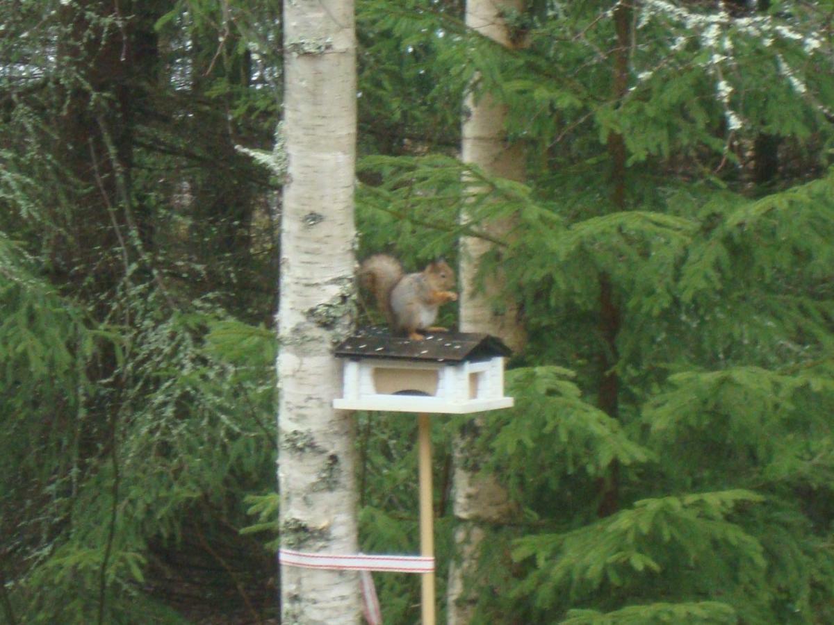 Moekki Etelaeranta Villa Mikkeli Buitenkant foto